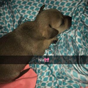 Meet your Posher, Gianna